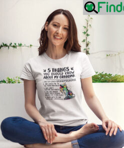 5 Things You Should Know About My Grandmasaurus Shirt