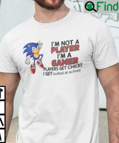 Im Not Player Im Gamer T Shirt Players Get Chicks I Get Bullied At School Sonic The Hedgehog