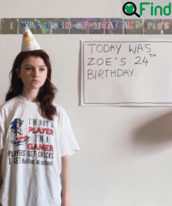 Sonic Im Not A Player Im A Gamer Players Get Chicks I Get Bullied At School T Shirt