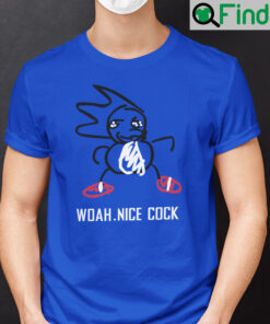 Woah Nice Cock Meme Shadow Hedgehog Shirt
