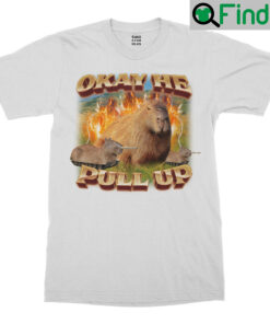 Okay He Pull Up Capybara Shirt