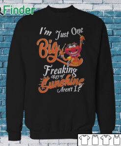 Sweatshirt Animal DRUMMER I'm just one big freaking ray of sunshine aren't shirt