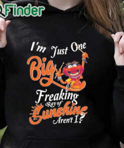 black hoodie Animal DRUMMER I'm just one big freaking ray of sunshine aren't shirt