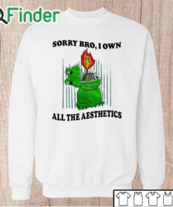 Unisex Sweatshirt Sorry Bro I Own All The Aesthetics Shirt