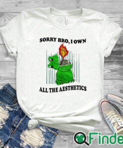 white T shirt Sorry Bro I Own All The Aesthetics Shirt