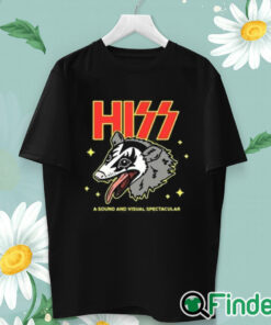 unisex T shirt Hiss A Sound And Visual Spectacular Shirt
