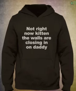 not right now kitten the walls are closing in on daddy shirt 3