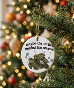 maybe the turtles needed the straws ornament