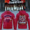 team usa women s basketball fiba world cup 2026 champions hoodie 1 1