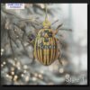 vintage colorado potato beetle entomology specimen christmas tree ornament 1