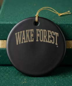Wake Forest Demon Deacons Arched Wordmark Shirt - Back or Alternative Angle Mockup